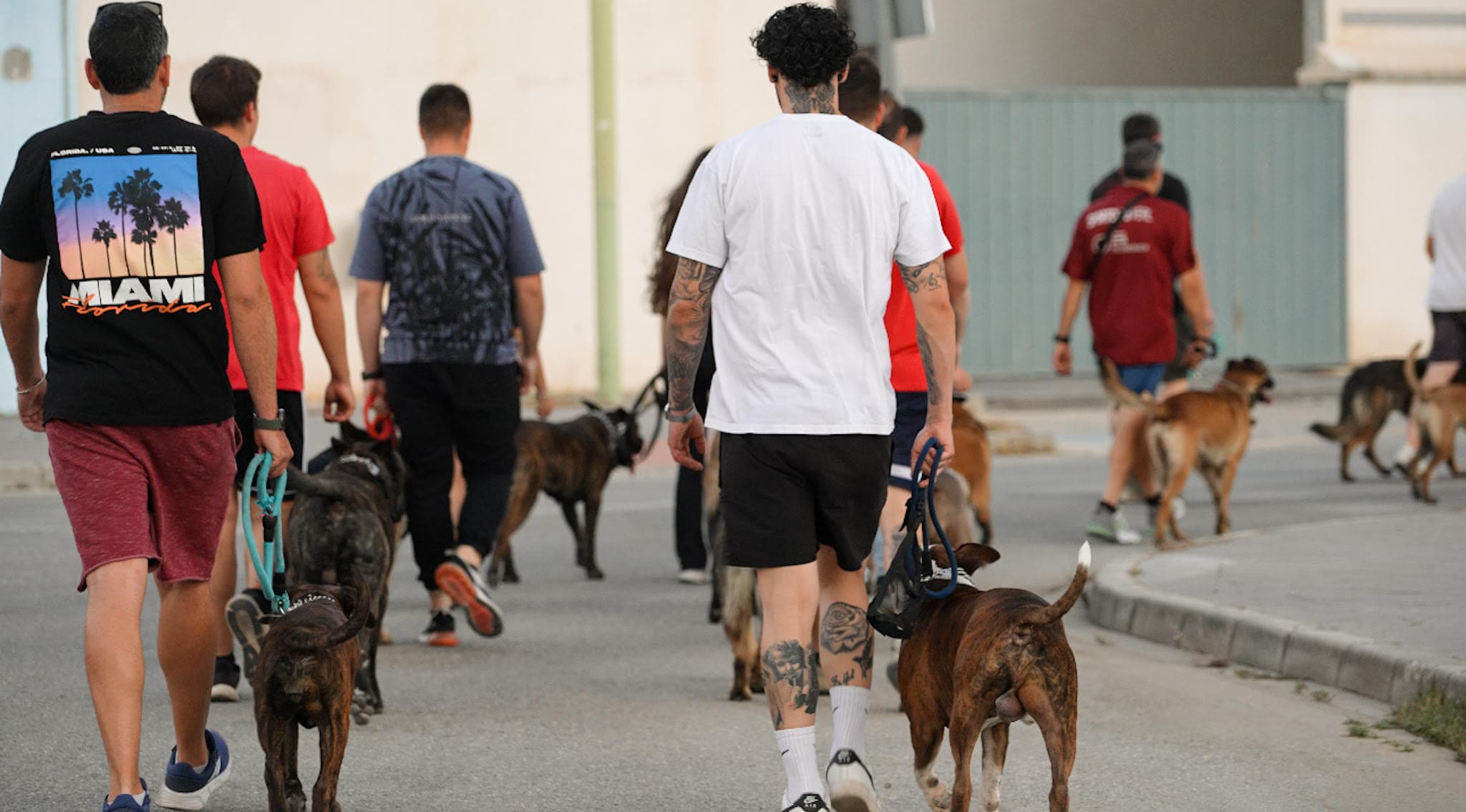 Club de adiestramiento canino DD Excellence con cobertura en toda España